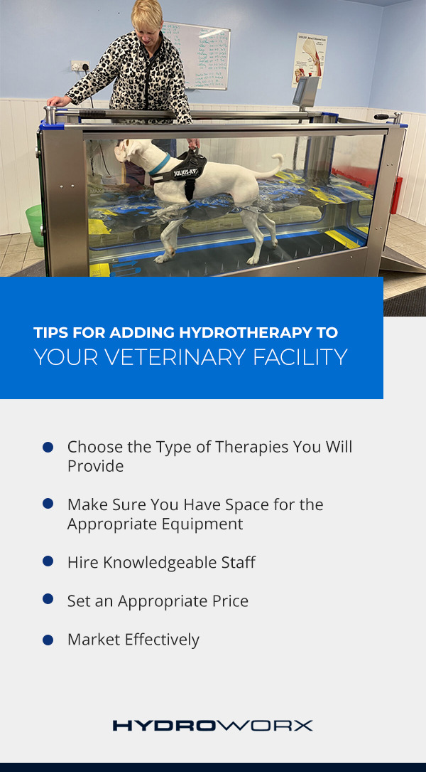 HydroWorx K900  Canine Hydrotherapy Treadmill For Vets