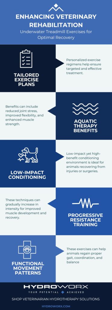 Underwater treadmill exercises for veterinarian rehabilitation infographic