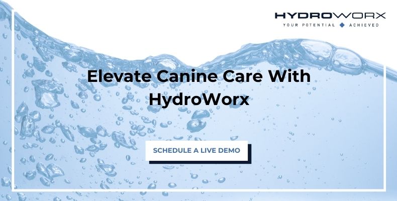 Elevate Canine Care With HydroWorx