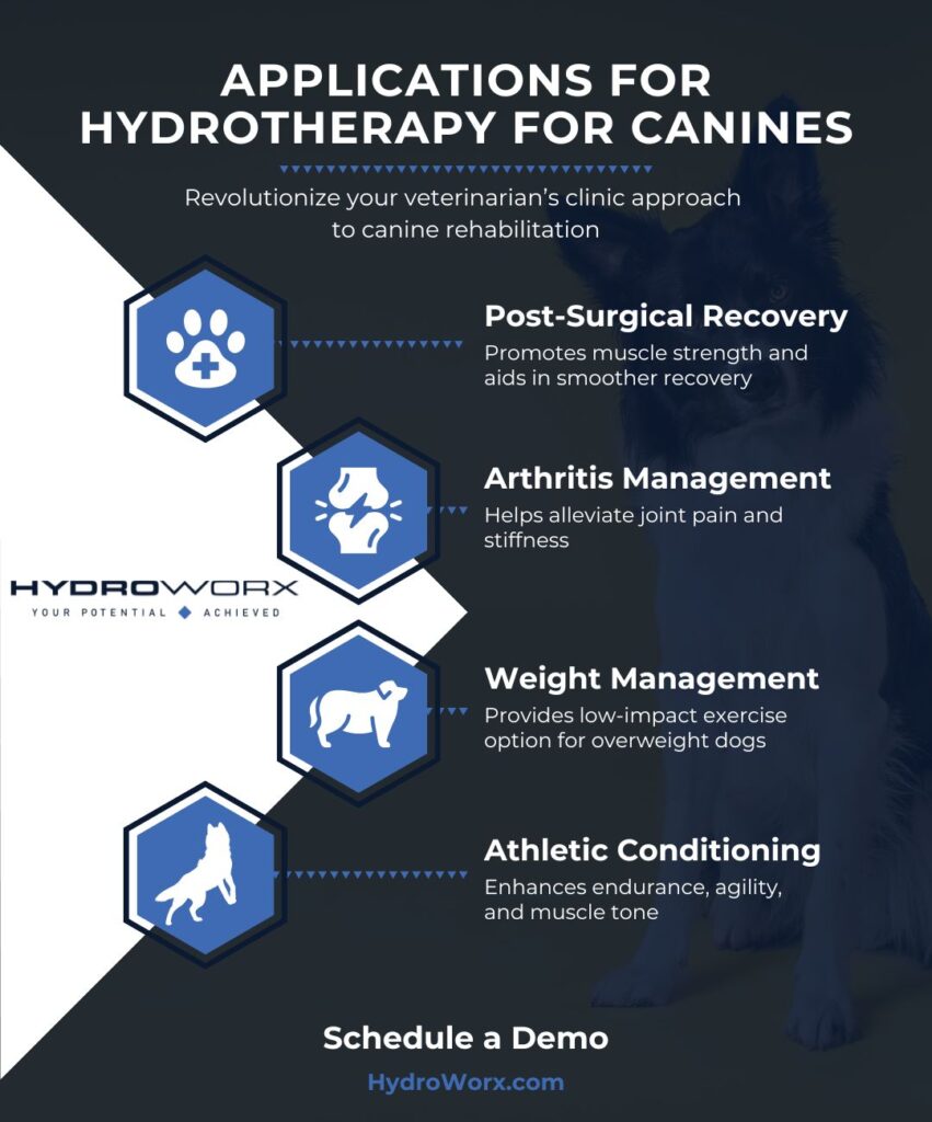 Applications for Hydrotherapy for Canines