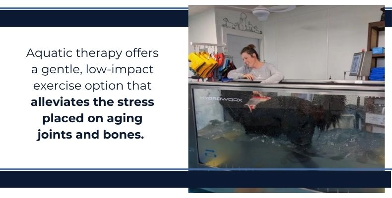 Aquatic therapy offers a gentle, low-impact exercise option