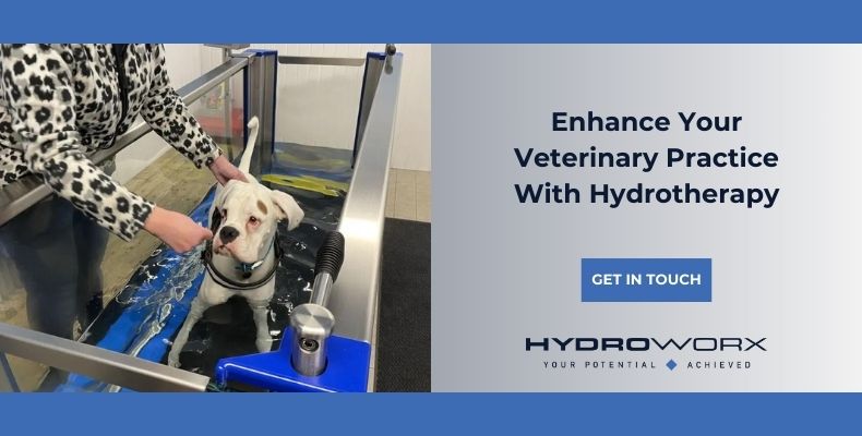 Enhance your veterinary practice with hydrotherapy